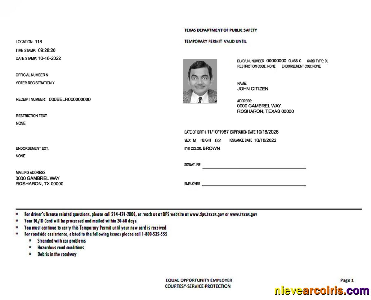 USA Texas temporary permit